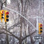 Traffic light with red arrow and one way sign with trees in the background